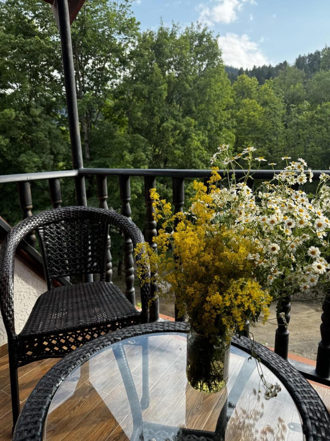 Hotel Iveria Abastumani Zewnętrze zdjęcie